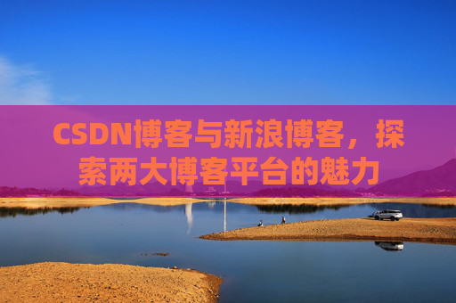 CSDN博客与新浪博客，探索两大博客平台的魅力